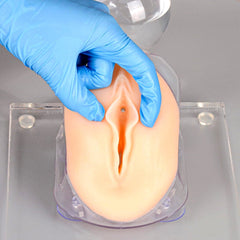 female catheterization model simulator training phantom