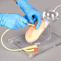 female catheterization model simulator training practice phantom