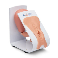 urinary Catheterization simulator model Female