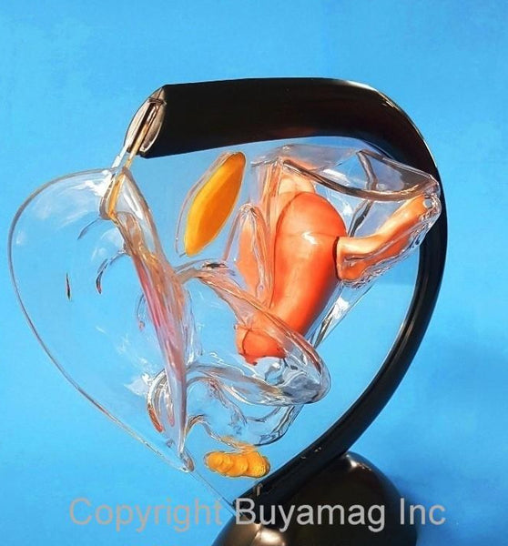 female contraceptive model