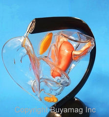 female contraceptive model
