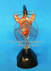 female birth control contraceptive model