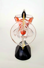 female birth control model