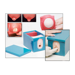 fetal-birth-cervical-dilation-model.jpg