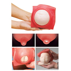 Obstetric Childbirth Model Fetal Monitoring And Labor Progress Simulator