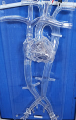 heart phantom catheter stent balloon pacemaker catheter surgery insertion model manikin