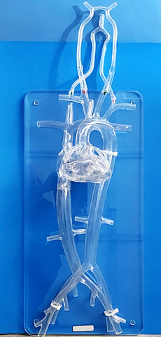 heart angioplasty surgery catheterization model