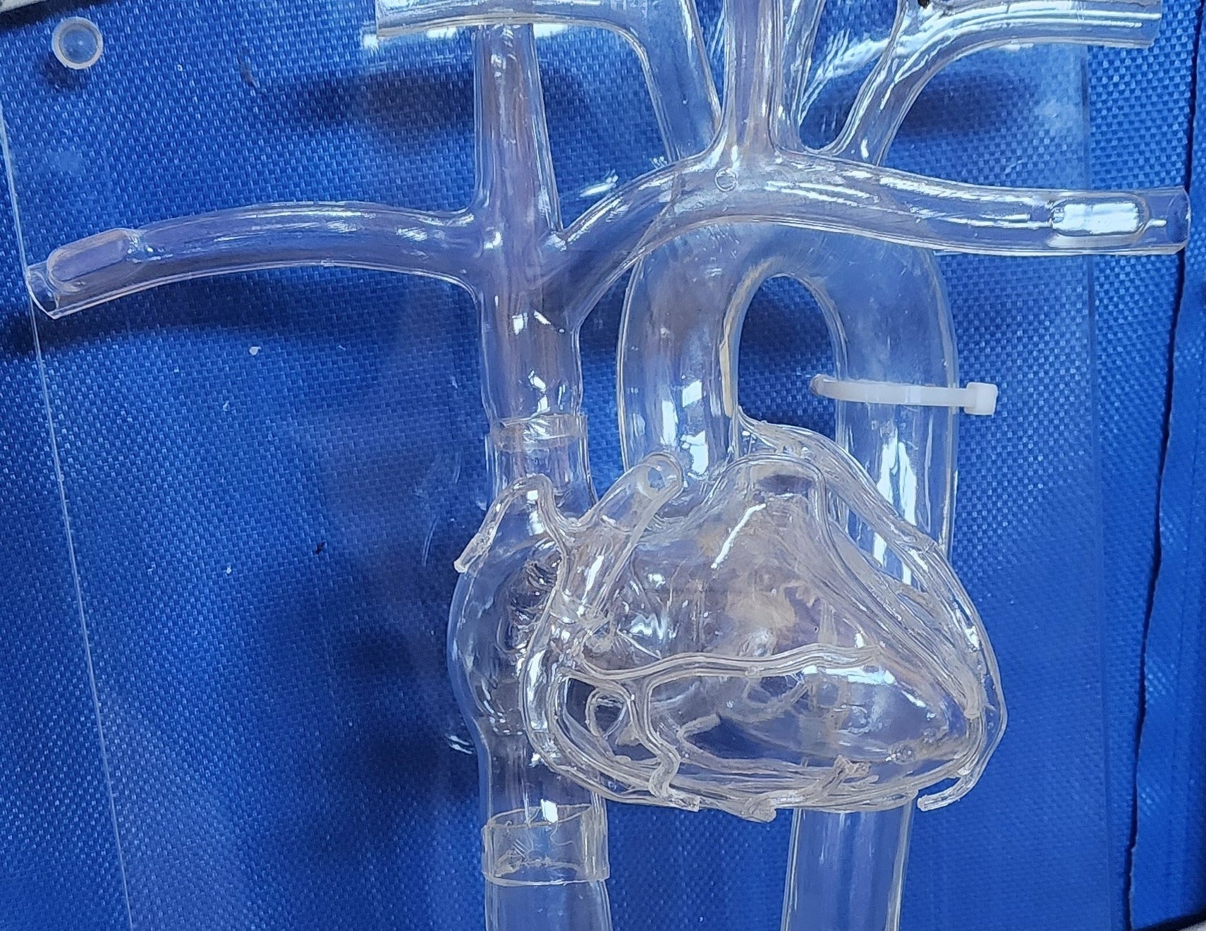 Heart Catheterization Training Simulator : Buyamag – Buyamag INC