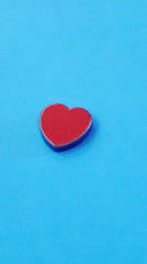 magnetic therapy magnet