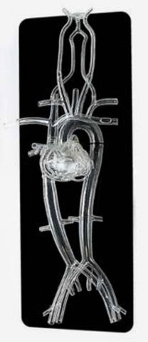 heart angioplasty model simulator