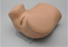 laparoscopic gynecological manikin