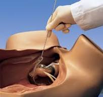 Gynecological Laparoscopic Examination Training Simulator Manikin Phantom Model