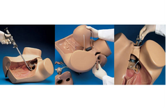 gynecological laparoscopic simulator