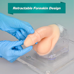 bladder male catheterization simulator model training practice