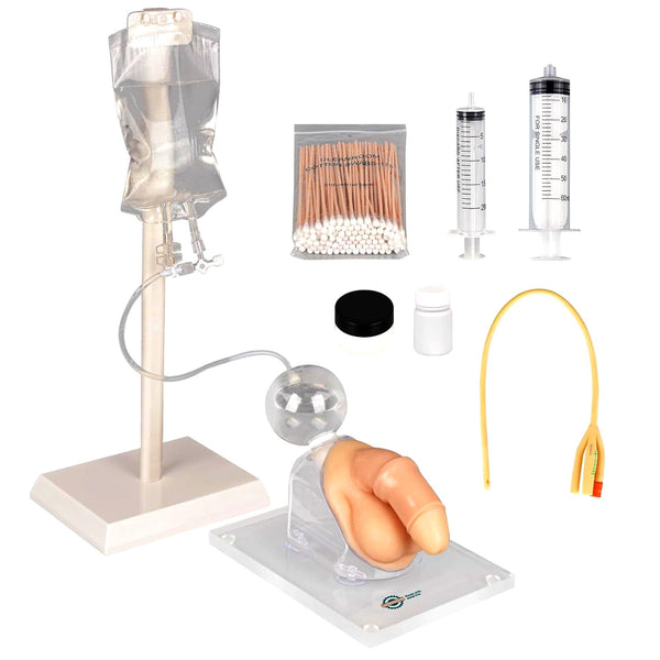 male catheterization simulator model training practice