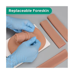 male circumcision manikin