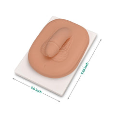 circumcision trainer model