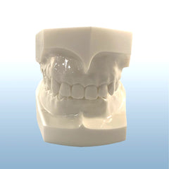 Orthodontic Demonstration models