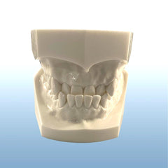 Orthodontic Models Malocclusions Demonstration Kit