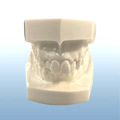 Orthodontic Malocclusion Demonstration model 10 kit