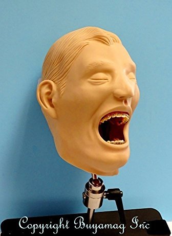 orthodontic manikin training practice simulator