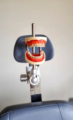 orthodontic model