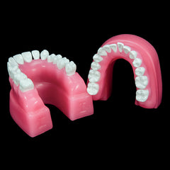 Orthodontic Wax Forms With Anatomical Shaped Teeth