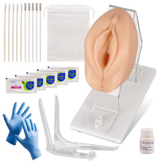 pap smear female gynecological trainer model