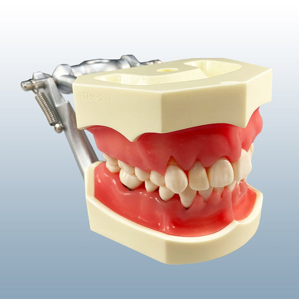 Periodontal disease model 