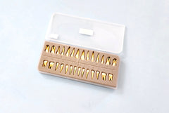 Permanent 28 Teeth Anatomical Roots Set Tooth For Teaching Students In Dental Schools