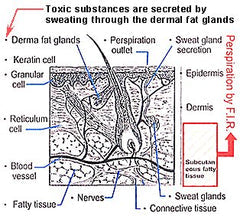 portable far infrared heating sauna
