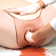 Postpartum Hemorrhage childbirth Simulator 