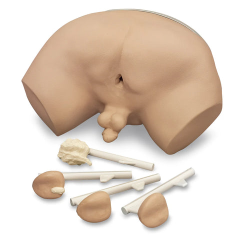 prostate rectal examination simulator model