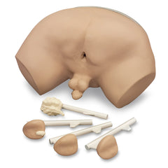 prostate rectal examination simulator model