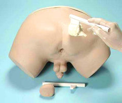 prostate simulator examination model