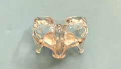 sinus lift model