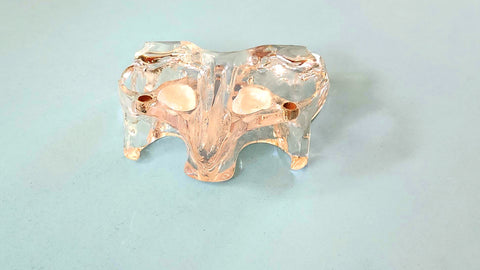 sinus lift  dental models