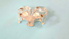 sinus lift  dental models