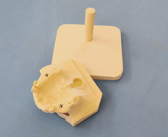 sinus lift implants model