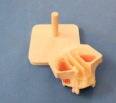 sinus lift surgical implants model