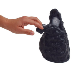 Smoker lung emphysema model 