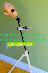 panoramic dental simulator practice training phantom