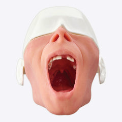 dental oral surgical simulator model