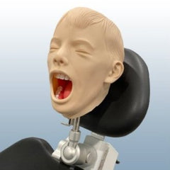 child dental x-ray manikin