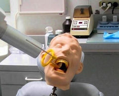 Dental Intraoral X-Ray Radiopaque Simulator Manikin Complete Radiology Examination Teeth Tongue Parts
