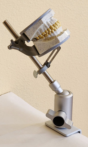 Replacement Parts For Dental Oral X-Ray Radiography Model Radiopaque 32 Teeth Simulator Radiography Manikin Phantom