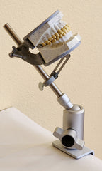 Replacement Parts For Dental Oral X-Ray Radiography Model Radiopaque 32 Teeth Simulator Radiography Manikin Phantom