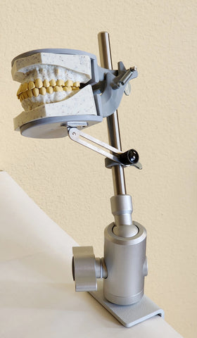 dental radiography phantom head simulator 