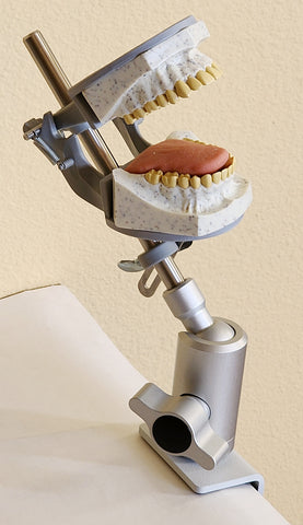 dental x-ray manikin simulator