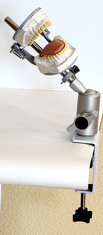 dental oral x-ray model manikin simulator